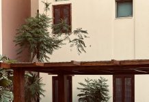 Carport bois : alliance d’esthétique, de robustesse et de praticité pour stationner sous abri